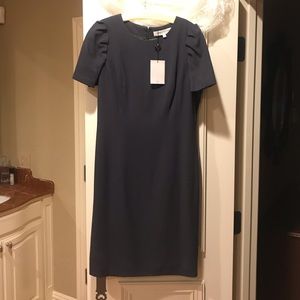 Carolina Herrera Blue Dress